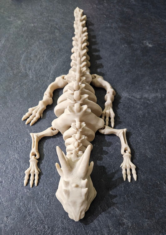 3d Articulated Skeleton Dragon -Steve